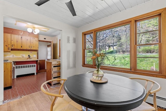 10 S Ten Eyck Ave, Cazenovia, NY 13035 - dining room featuring radiator, baseboard heating, plenty of natural light, and a ceiling fan