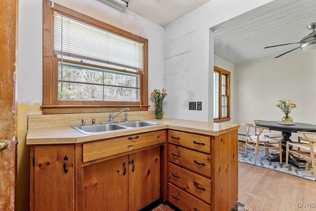 10 S Ten Eyck Ave, Cazenovia, NY 13035 - kitchen featuring plenty of natural light, light countertops, a sink, and light wood-type flooring