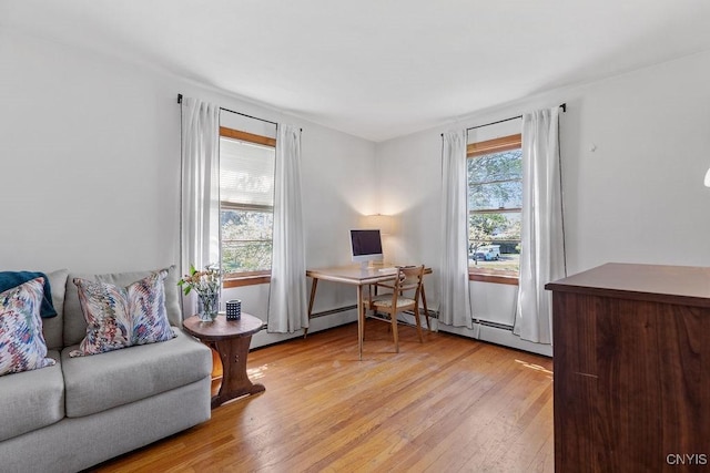 10 S Ten Eyck Ave, Cazenovia, NY 13035 - home office with light wood-type flooring