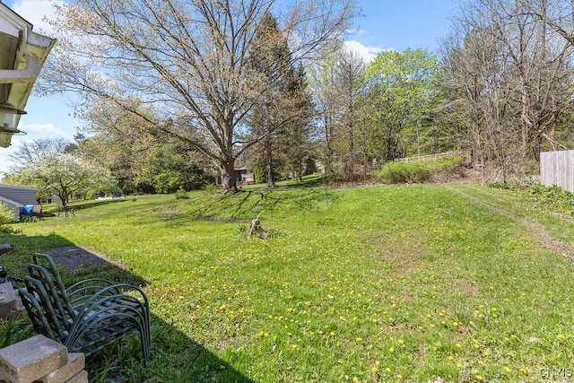 10 S Ten Eyck Ave, Cazenovia, NY 13035 - view of yard