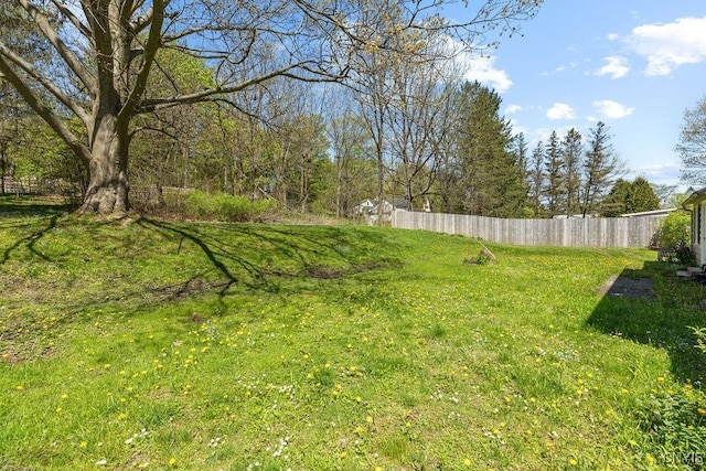10 S Ten Eyck Ave, Cazenovia, NY 13035 - view of yard with fence