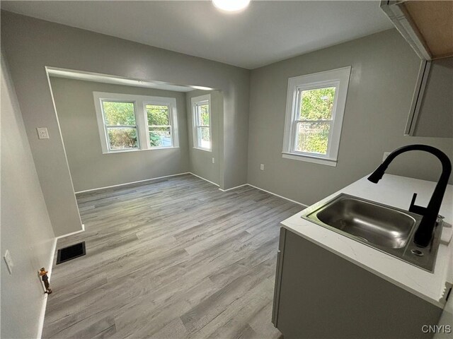 214 Herriman St Unit 216, Syracuse, NY 13204 - laundry room with plenty of natural light, a sink, light wood-style flooring, and baseboards