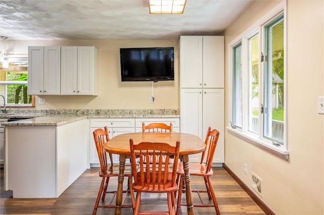 dining space featuring plenty of natural light and dark wood finished floors