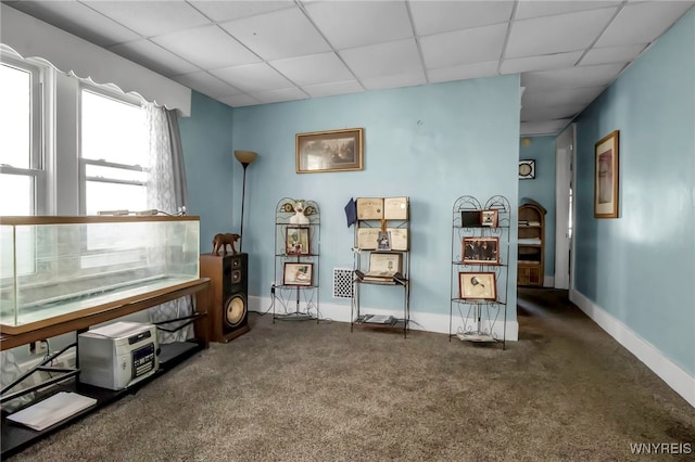 2254 Grand Ave, Niagara Falls, NY 14301 - living area featuring carpet floors, a drop ceiling, and baseboards