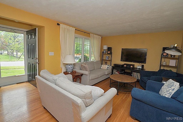 living area featuring light wood-style floors and healthy amount of natural light