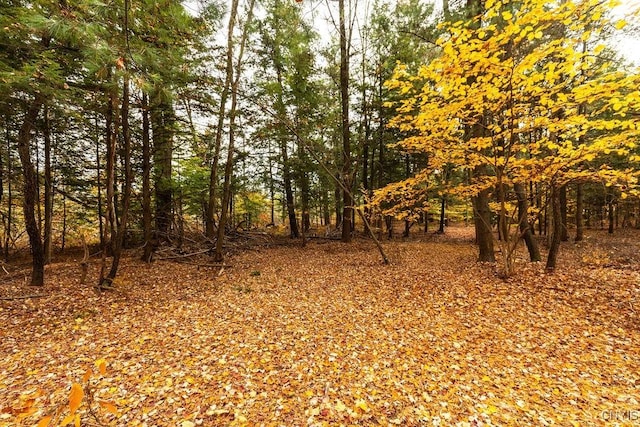 67 Jacobson Dr, Parish, NY 13131 - photo 14