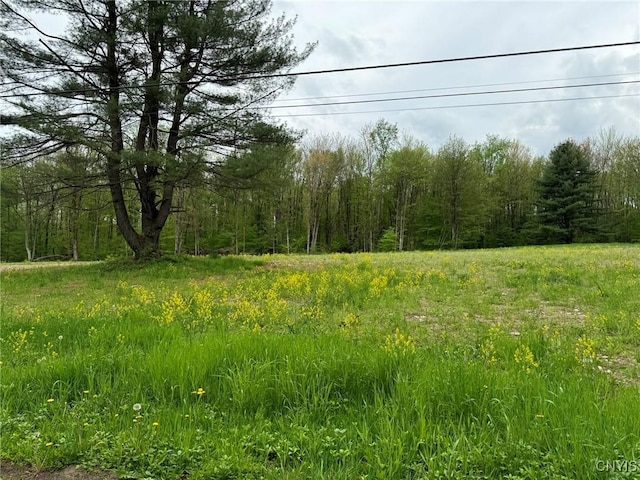67 Jacobson Dr, Parish, NY 13131 - photo 2
