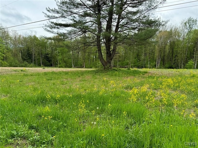 67 Jacobson Dr, Parish, NY 13131 - photo 3