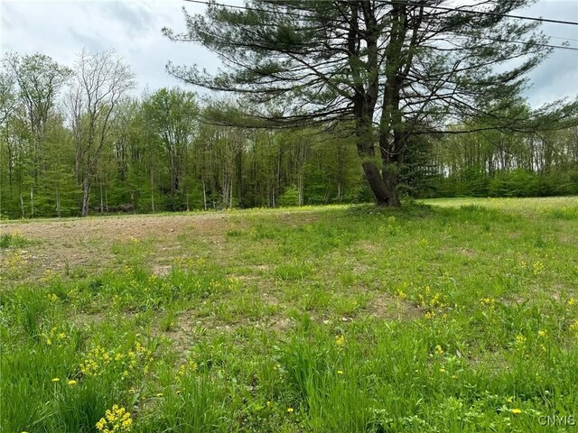 67 Jacobson Dr, Parish, NY 13131 - photo 4
