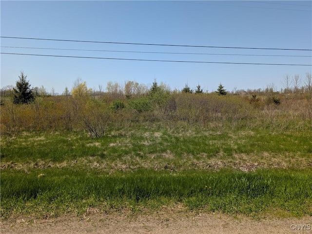 Wilson Point Rd, Cape Vincent, NY 13618