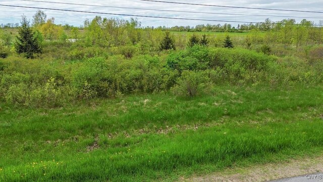 Wilson Point Rd, Cape Vincent, NY 13618