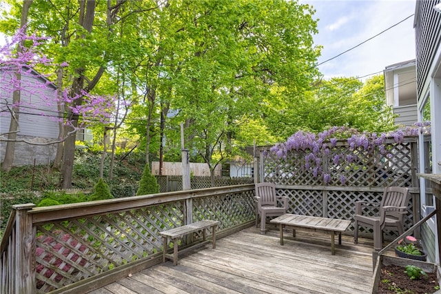 141 Mulberry St, Rochester, NY 14620 - view of deck