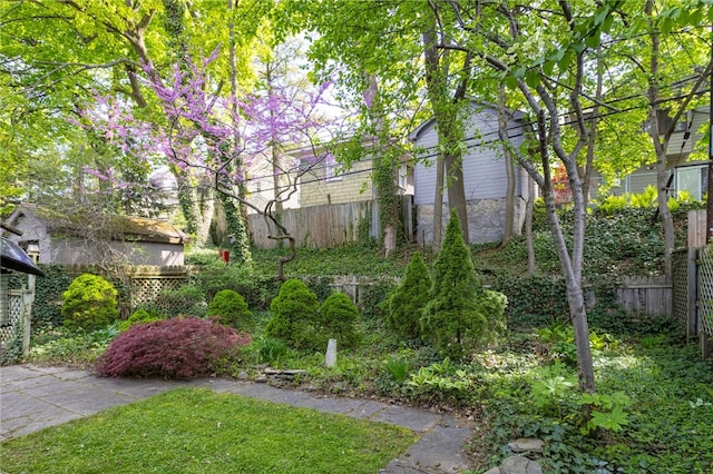 141 Mulberry St, Rochester, NY 14620 - view of yard