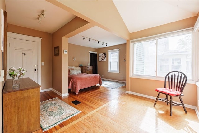 141 Mulberry St, Rochester, NY 14620 - bedroom with track lighting, light wood-style floors, baseboards, and lofted ceiling