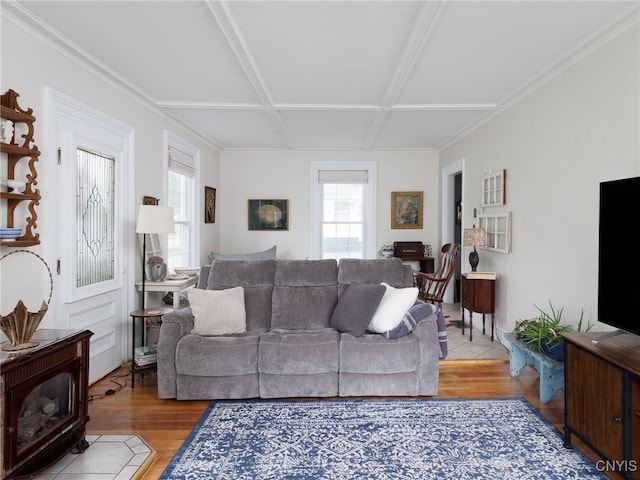 127 W St, Rutland, NY 13612 - living room featuring light wood-style floors, a wood stove, crown molding, and coffered ceiling
