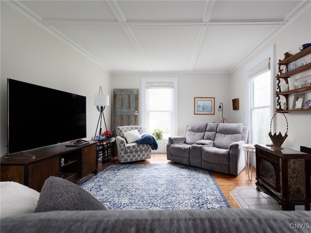 127 W St, Rutland, NY 13612 - living room with coffered ceiling, wood finished floors, and a wood stove