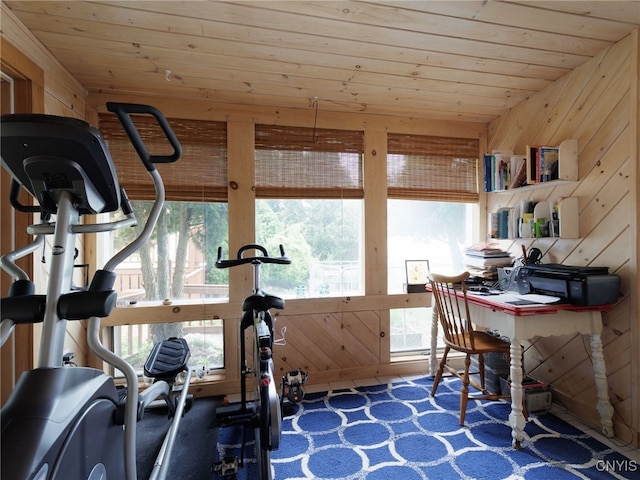 127 W St, Rutland, NY 13612 - workout room with wood ceiling, wood walls, and carpet floors