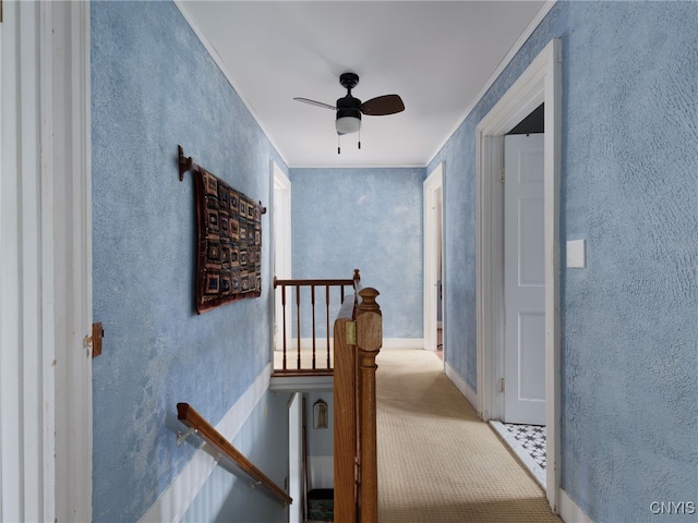 127 W St, Rutland, NY 13612 - hallway featuring an upstairs landing, a textured wall, and carpet flooring