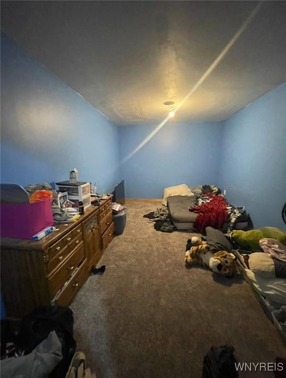 13209 Miller Ave, Sardinia, NY 14030 - bedroom featuring carpet flooring