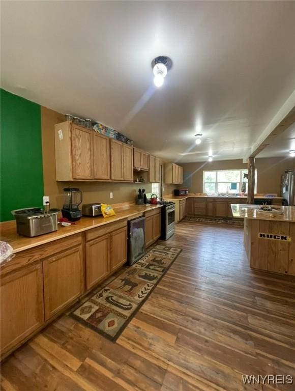 13209 Miller Ave, Sardinia, NY 14030 - kitchen featuring appliances with stainless steel finishes, dark wood-style floors, light countertops, brown cabinets, and a sink