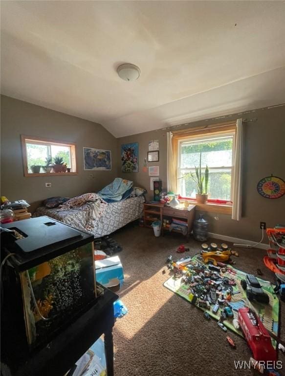13209 Miller Ave, Sardinia, NY 14030 - carpeted bedroom with lofted ceiling