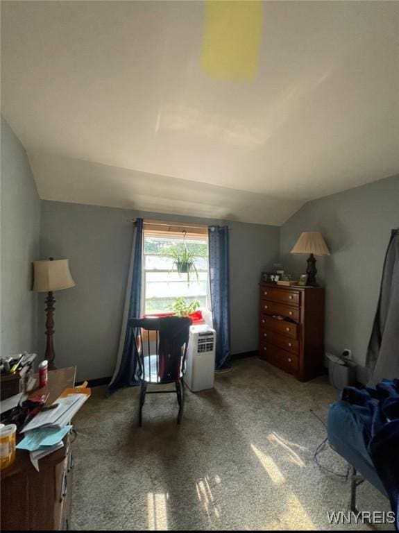 13209 Miller Ave, Sardinia, NY 14030 - sitting room featuring lofted ceiling and carpet