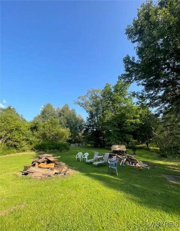 13209 Miller Ave, Sardinia, NY 14030 - view of grassy yard
