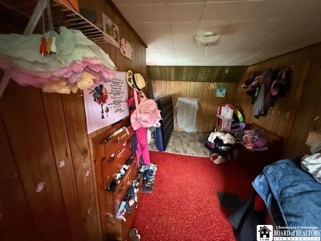 2471 N Nine Mile Rd, Allegany, NY 14706 - photo 10