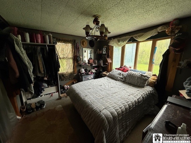 2471 N Nine Mile Rd, Allegany, NY 14706 - photo 13