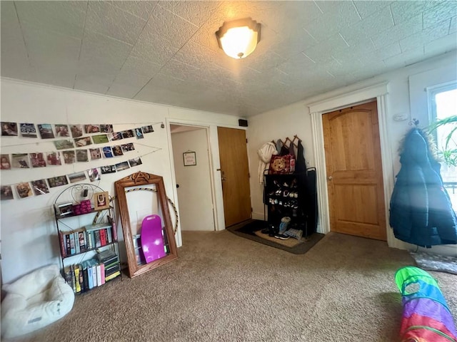 11 Gilbert St, Oneonta-City, NY 13820 - playroom with carpet flooring