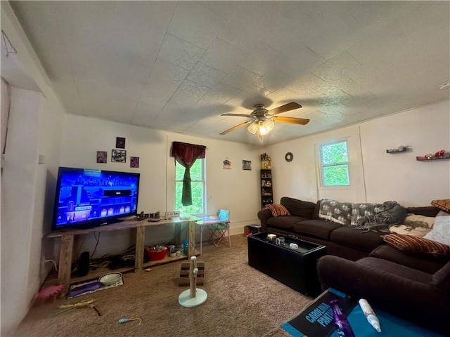 11 Gilbert St, Oneonta-City, NY 13820 - carpeted living area featuring healthy amount of natural light and a ceiling fan