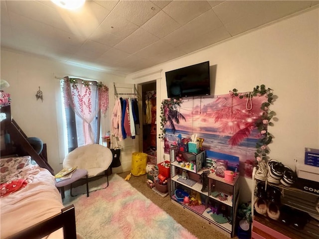 11 Gilbert St, Oneonta-City, NY 13820 - bedroom with carpet flooring and a closet