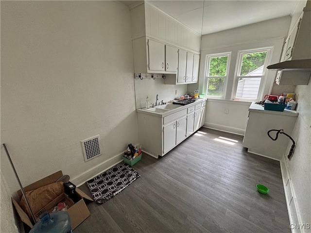 236 N Midler Ave, Syracuse, NY 13206 - clothes washing area with dark wood-type flooring, baseboards, and a sink