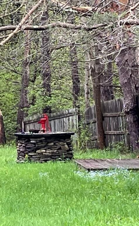 462 Winney Hill Rd, Oneonta-Town, NY 13820 - view of yard with fence