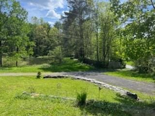 462 Winney Hill Rd, Oneonta-Town, NY 13820 - view of community with a lawn