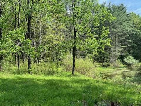 462 Winney Hill Rd, Oneonta-Town, NY 13820 - view of wooded area