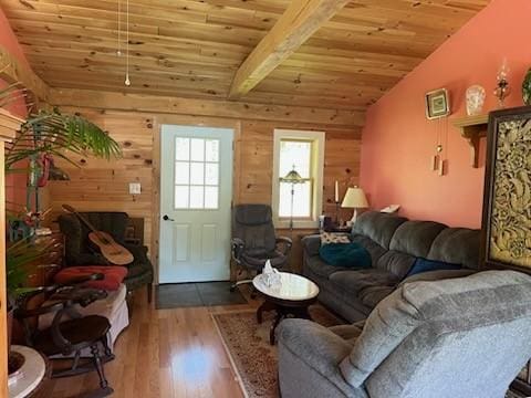 462 Winney Hill Rd, Oneonta-Town, NY 13820 - living area featuring wood ceiling, wood finished floors, and wooden walls