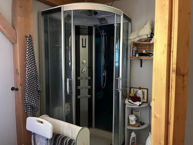 462 Winney Hill Rd, Oneonta-Town, NY 13820 - bathroom featuring elevator, a shower stall, and toilet