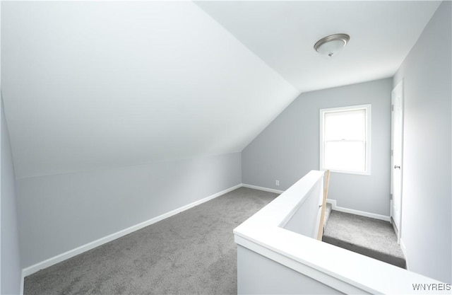 additional living space with lofted ceiling, carpet flooring, and baseboards