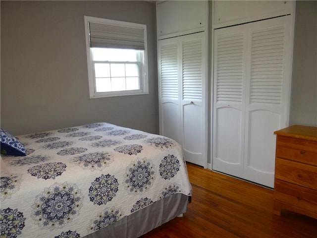 129 Daffodil Dr, Horseheads, NY 14845 - bedroom with wood finished floors and multiple closets