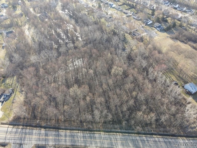 3605 Millersport Hwy, Amherst, NY 14068 - photo 2