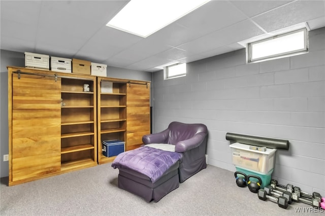 living area featuring carpet flooring and a drop ceiling