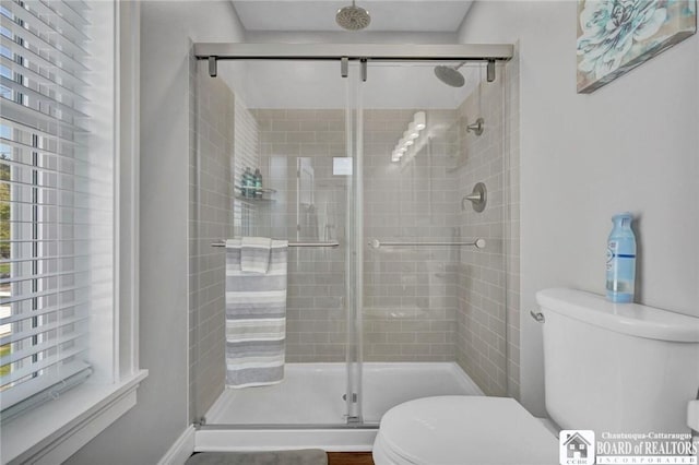 5518 Wells Bay Lakefront, North Harmony, NY 14710 - bathroom with toilet and a stall shower