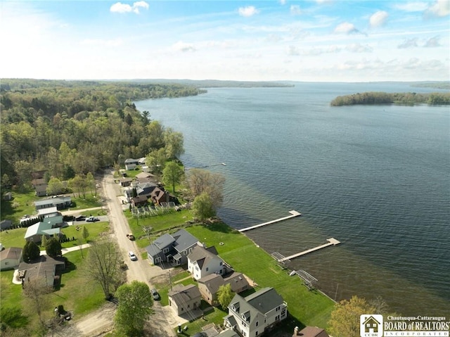 5518 Wells Bay Lakefront, North Harmony, NY 14710 - view of property location featuring a large body of water and a heavily wooded area