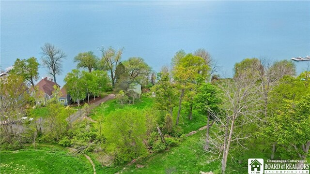 0 Shore Dr, Chautauqua, NY 14728 - photo 9