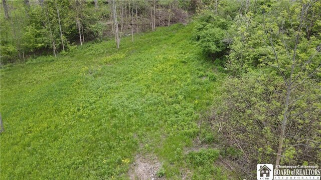 0 Shore Dr, Chautauqua, NY 14728 - photo 13