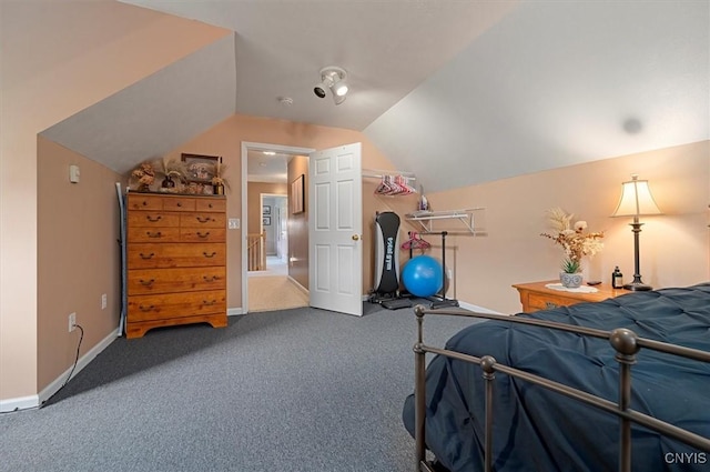 101 Pinehurst Ln, Augusta, NY 13425 - bedroom with carpet, lofted ceiling, and baseboards