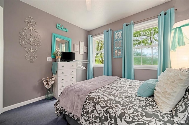 101 Pinehurst Ln, Augusta, NY 13425 - bedroom with carpet, baseboards, and a ceiling fan