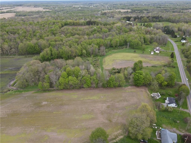 13315 Red Creek Rd, Wolcott, NY 14590