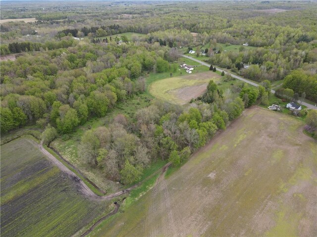 13315 Red Creek Rd, Wolcott, NY 14590